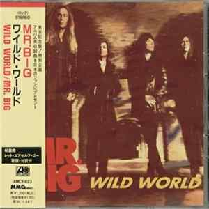 Mr. Big - Wild World flac