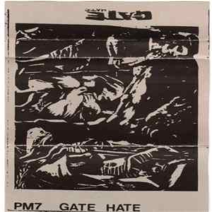 Gate - Hate flac