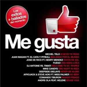 Various - Me Gusta flac