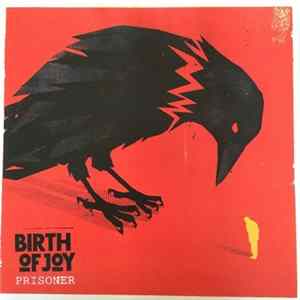 Birth Of Joy - Prisoner flac