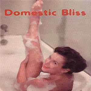 Battle Of The Future Buddhas - Domestic Bliss 2015 flac